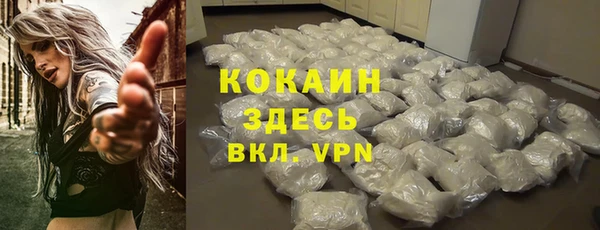 мяу мяу мука Арсеньев